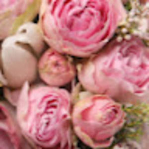 Meet your Posher, Bridget